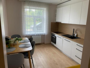 Spacious 3 bedroom apartment in great location